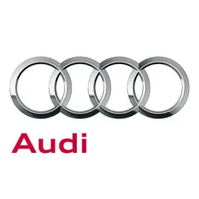 8r0-881-361-r Audi Genuine Padding