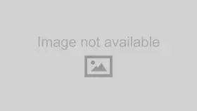 926895 Dorman Comfortable For Seat Cushion Foam