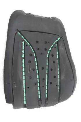 Fa1z-58632a23-k Ford New Oem Front Left Seat Back Pad Assembly Lincoln Mkx 16-18
