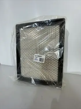 19254695 Gm Genuine Element