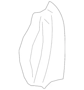 5c6-881-775-be Volkswagen Genuine Seat Back Pad
