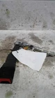 Seat Belt Front Bucket Passenger Buckle Fits 11-20 Journey 529495 Used. Price: $67.33.