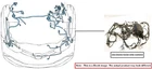 Engine Room Harness Oem 2018 Ford TRANSIT35 Used. Price: $200.00.