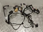 Harness For Interior Porsche Cayenne 2011 7P5971384R Used. Price: $57.81.