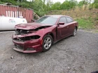 Seat Belt Front Passenger Buckle Fits 17-23 Challenger 1126195 Used. Price: $189.65.