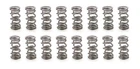 Racing Springs 1.106 Dual Valve 1300 Series (16) PAC-1312-16 New. Price: $612.90.