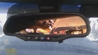 06 07 08 09 Cadillac Xlr Rear View Mirror Black W-out Graphic Symbol Switch Used. Price: $199.03.