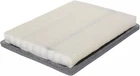 Genuine Gm Element 89058408 New. Price: $33.61.