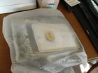 Oem Genuine Lincoln (ford) Left Front Seat Bottom Pad Bun FA1Z-5864811-G Used. Price: $124.98.