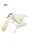 Mercedes 164 Gl/r/ml-class Driver Front Seat Multicontour Dynamic Lumbar Bolster Used. Price: $199.99.